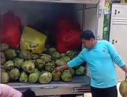 Menu MBG Kelapa Muda Utuh di Pamekasan Langgar Aturan, Ini Kata BGN