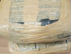 Polres Bekasi Kota Tangkap Kurir Narkoba Antarkota di Matraman, 2 Kg Ganja Disita