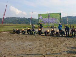 Dua Tahun Bergerak, GACCORS Buktikan Pertanian Organik Efektif