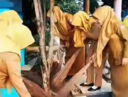 Gerakan Indonesia Asri, DPPKBP3A Ciamis Bersihkan Lingkungan Dinas Wujudkan Budaya Sehat