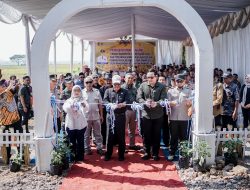 Panen Raya Padi Organik, Ciamis Mantapkan Langkah Jadi Sentra Pertanian Sehat di Jabar